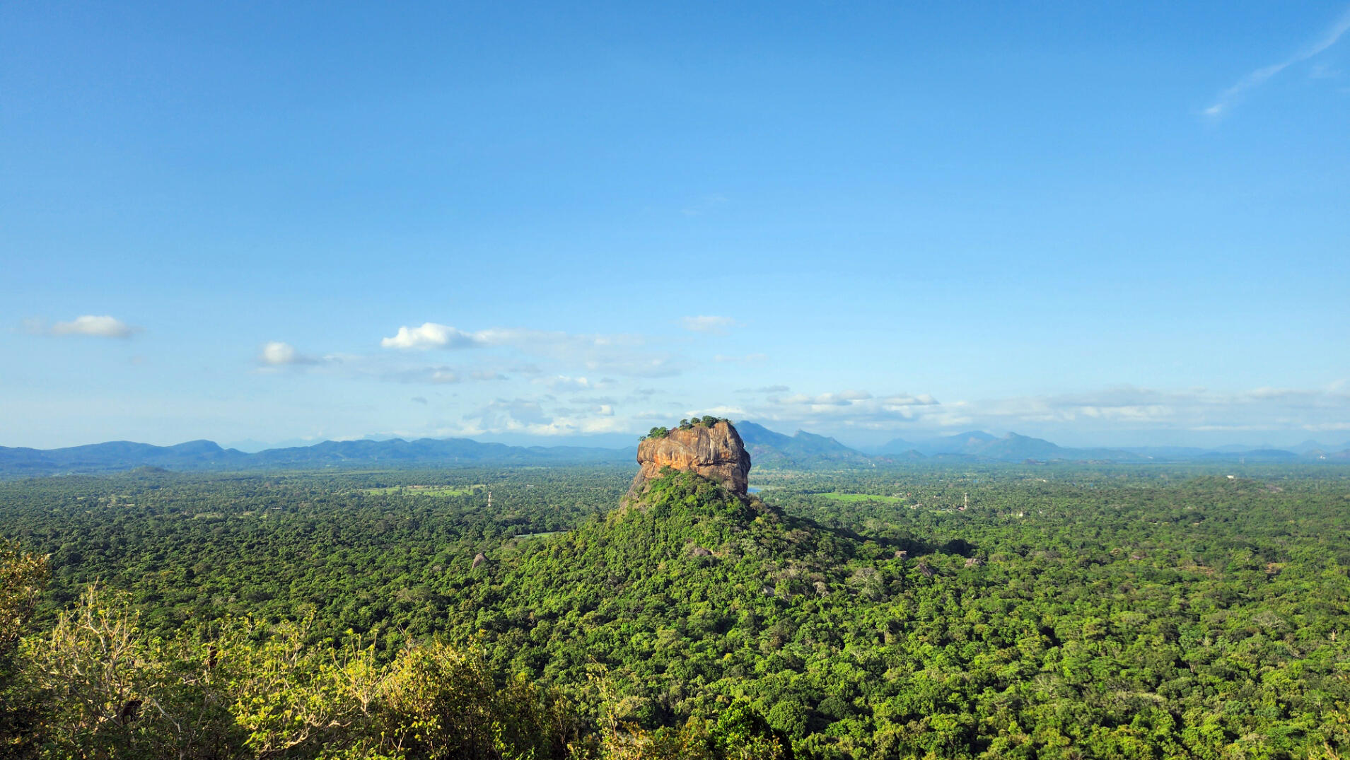 View of Sigiriya from Pidurangala Rock